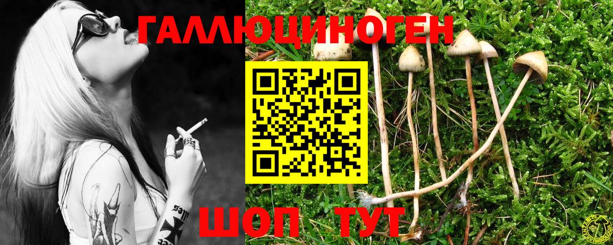 Галлюциногенные грибы Cubensis Иркутск